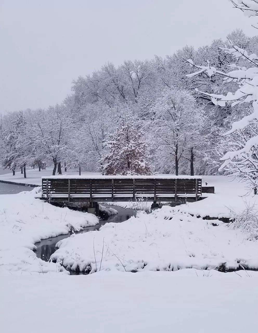 雪景摄影作品欣赏图片