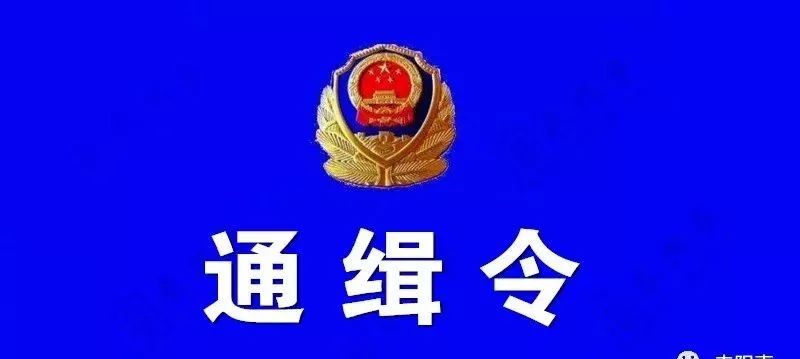 或检举揭发有功者公安机关将给予奖励被通缉的十名在逃人员是:常海飞