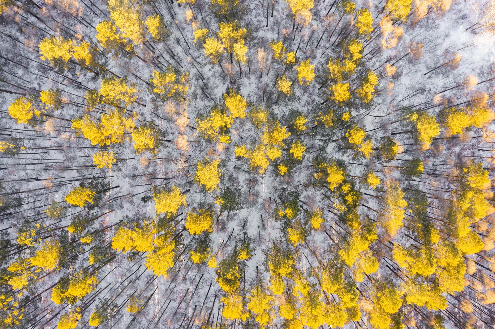 原创航拍雪后的栖霞山,第一眼就是震撼,还不要门票