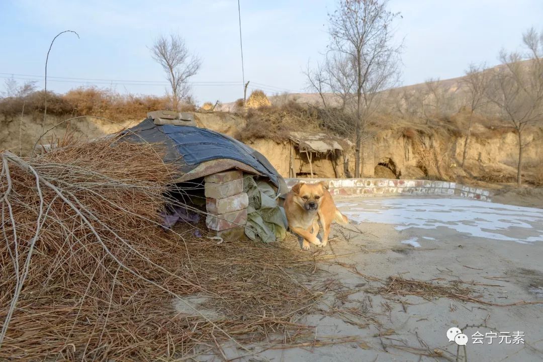 会宁老父亲穷家难舍熟地难离