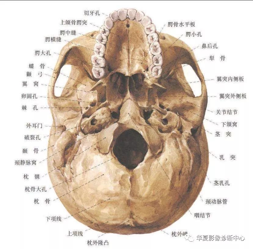 筛孔位置图片