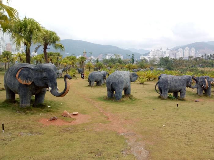 背起行囊远走他方这里称为动物王国和植物王国