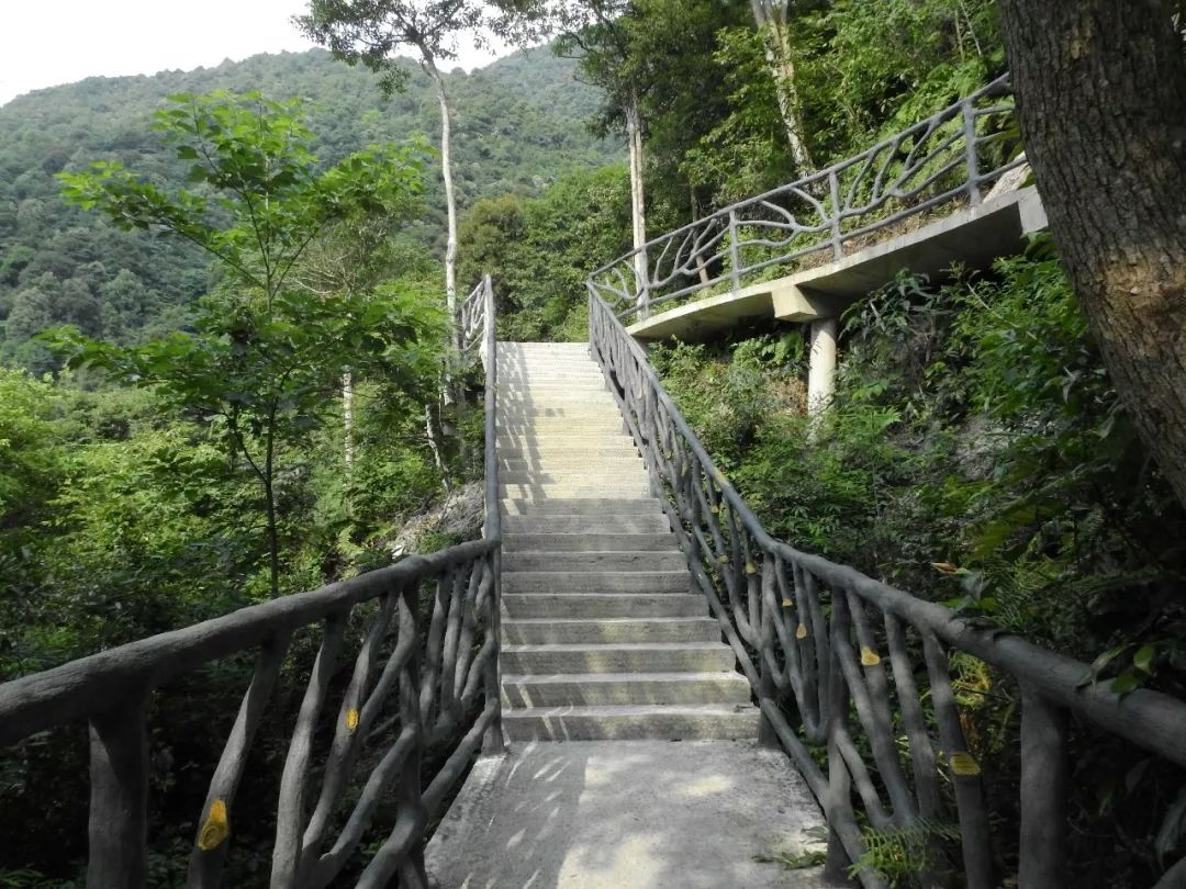 2019年1月19日中國鷹潭第一屆聖井山杯登山大賽