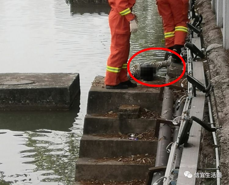 女尸打捞图片