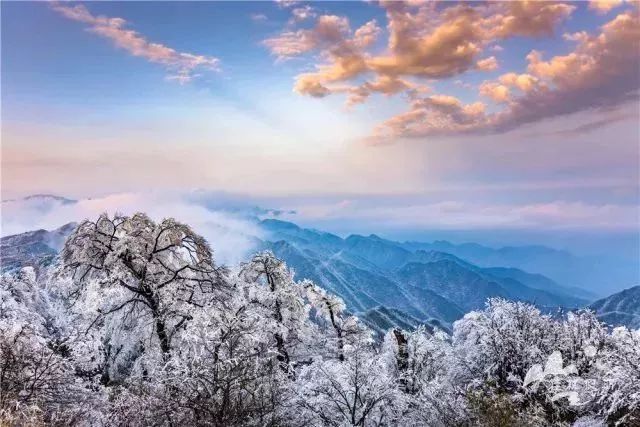 貓兒山國家級自然保護區,因峰頂形似俯臥的巨貓而得名.