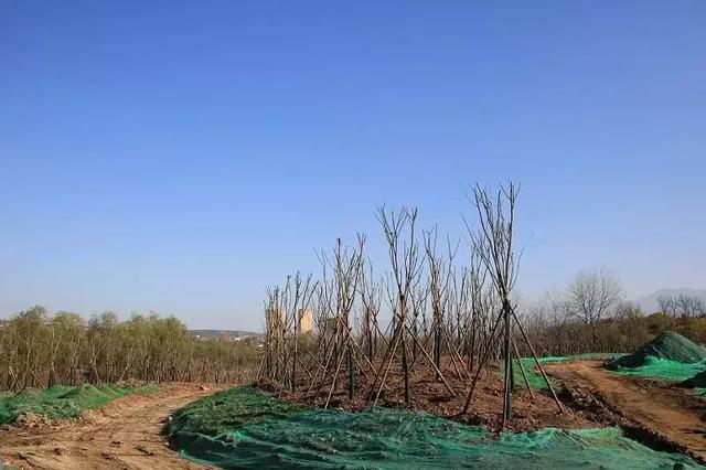 段污水治理工程潏河常宁段污水治理应急工程建设内容为涉及香积寺村