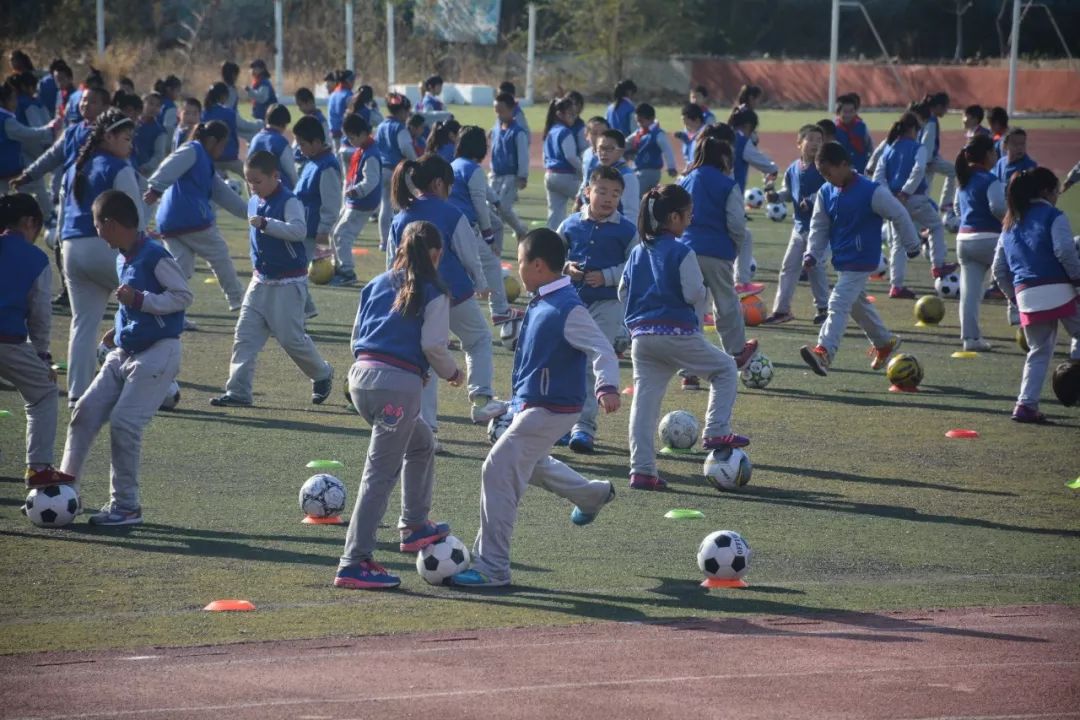 大连革镇堡中心小学图片