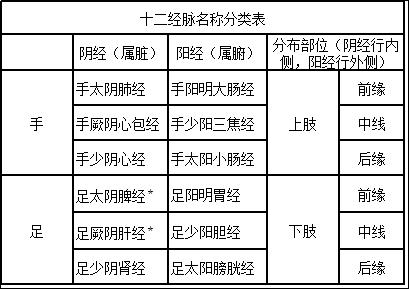 十二經脈的交接規律十二經脈的走向規律:手三陰經,從胸走手