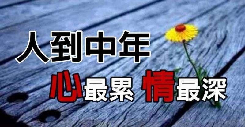 人到中年仍然一事无成,也许你也曾经扪心自问,为什么付出这么多努力