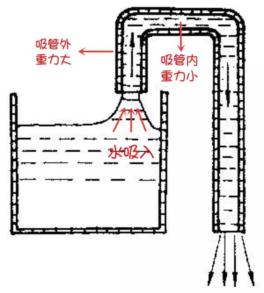 为什么水会流进吸管里呢?