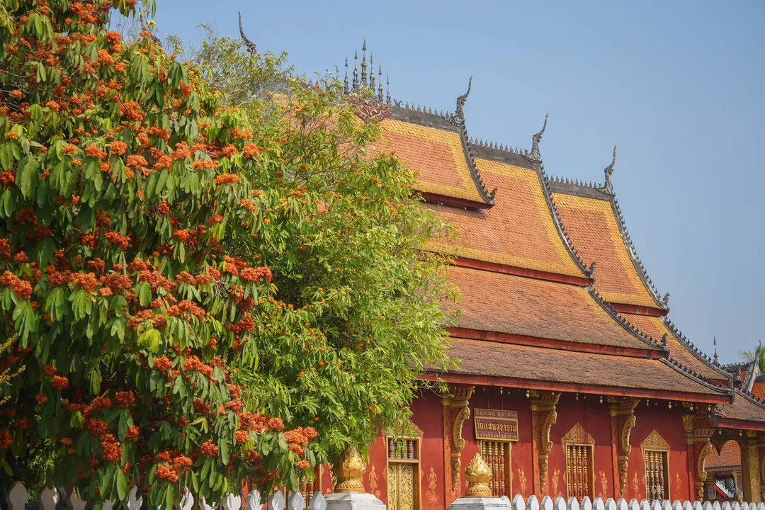 神佛寺便是其中一座,它是一座泰式风格的庙宇,从建成至今也有几百年