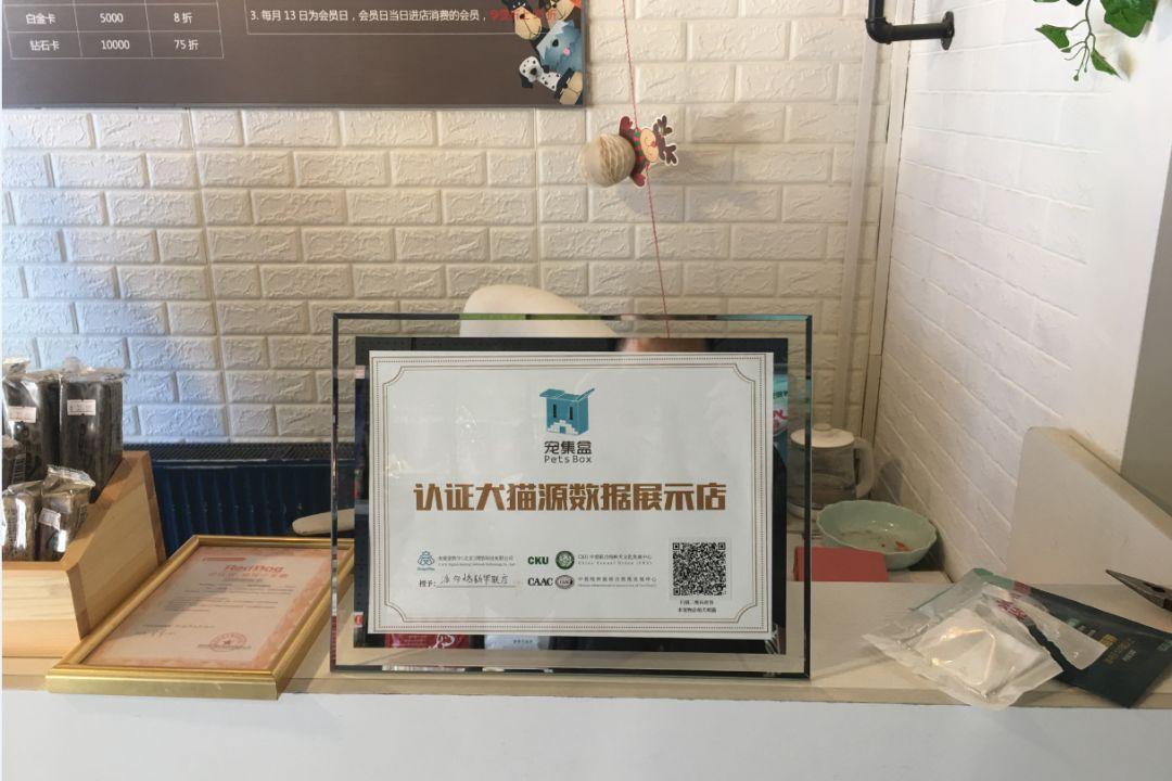 重磅北京多家宠物店首批签约入驻宠集盒平台