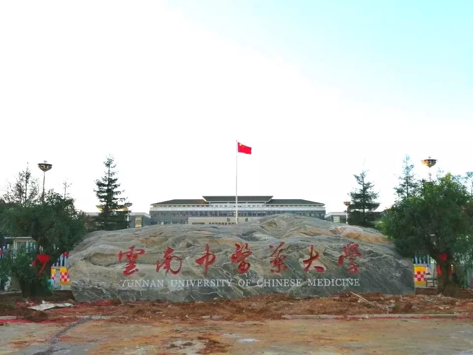 云南中医药大学校门图片