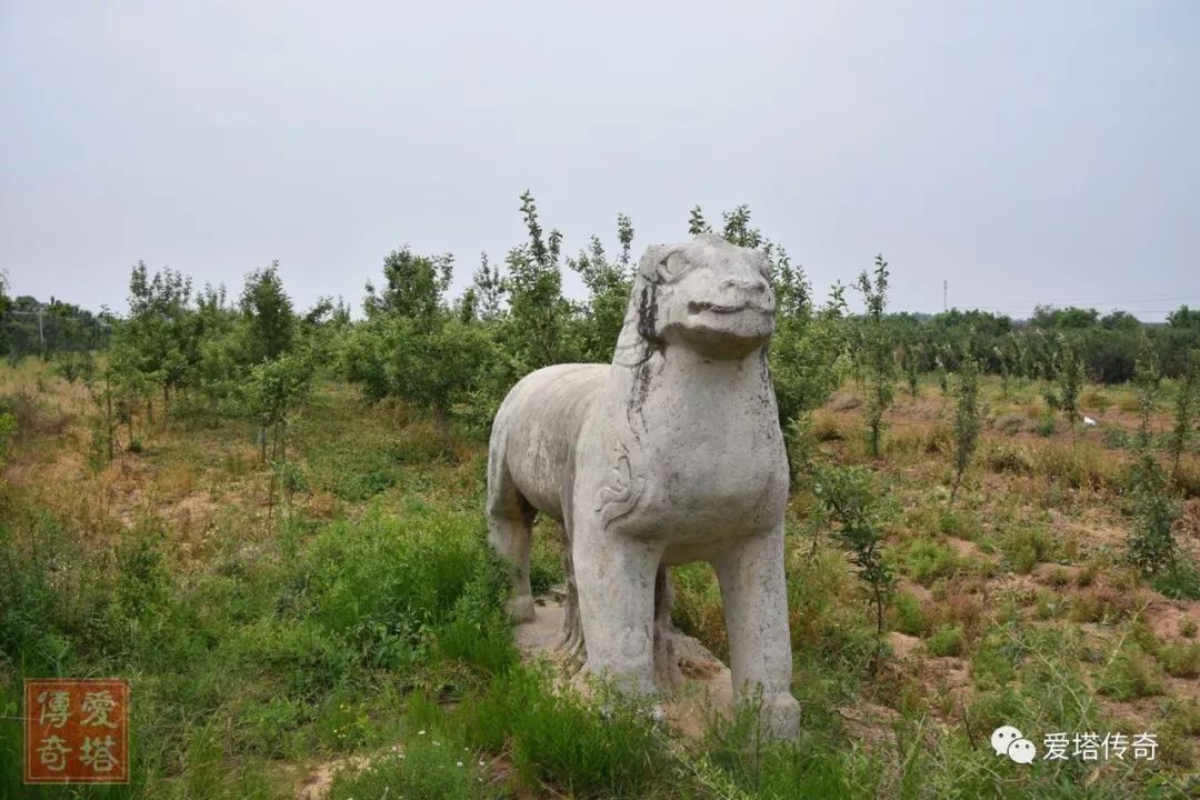 西魏时期八柱国之一,从李虎开始李家登上政治舞台【李虎永康陵封土】