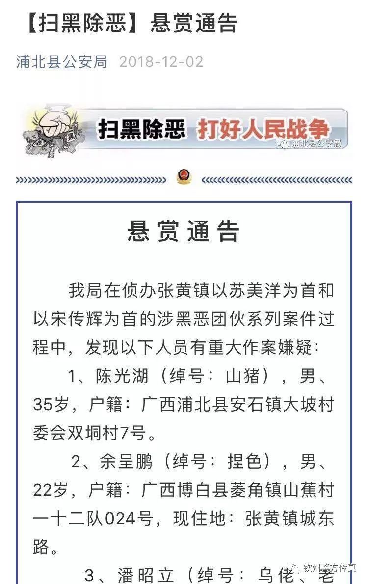 近年来,宋传辉,吴昌福等人在张黄镇结伙持械当街恶意追逐,肆意殴打