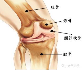 膝關節疼痛的原因竟然有這麼多！哪個是你不知道的？