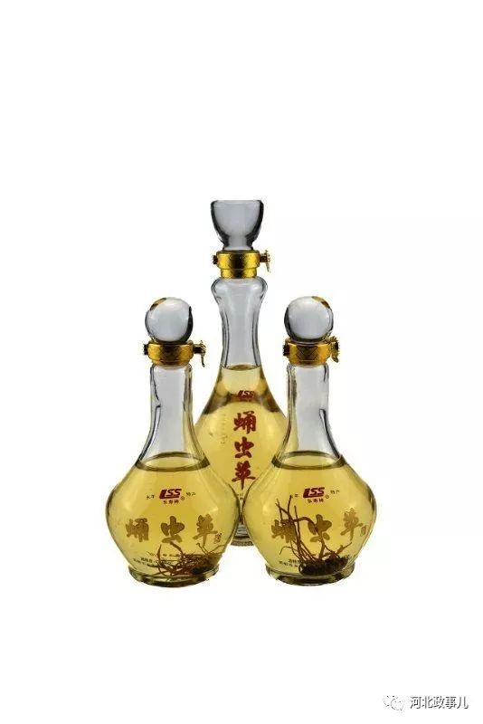 永年蛹虫草酒图片