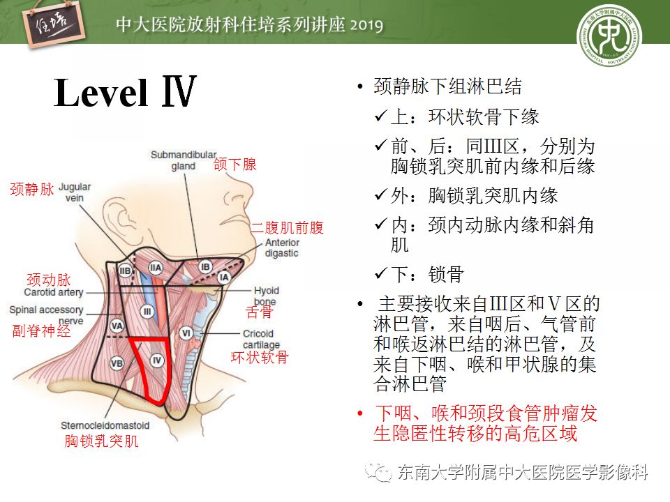 2018住培系列讲座第45期颈部淋巴结的影像解剖及常见病变的影像表现