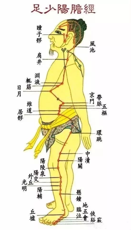 胆经的走向准确位置图图片