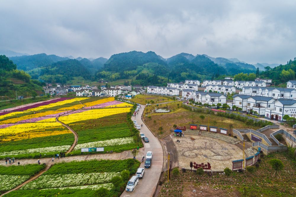 多彩古蔺有风景更有钱景