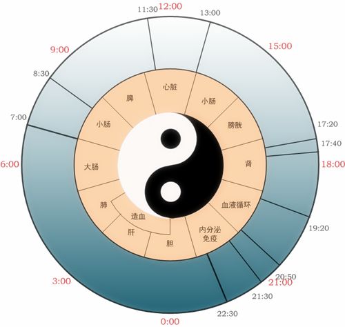 【按时养生】人体24小时生物钟养生法