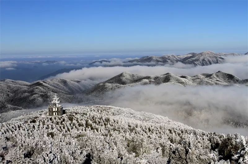 丽水冬季旅游景点图片