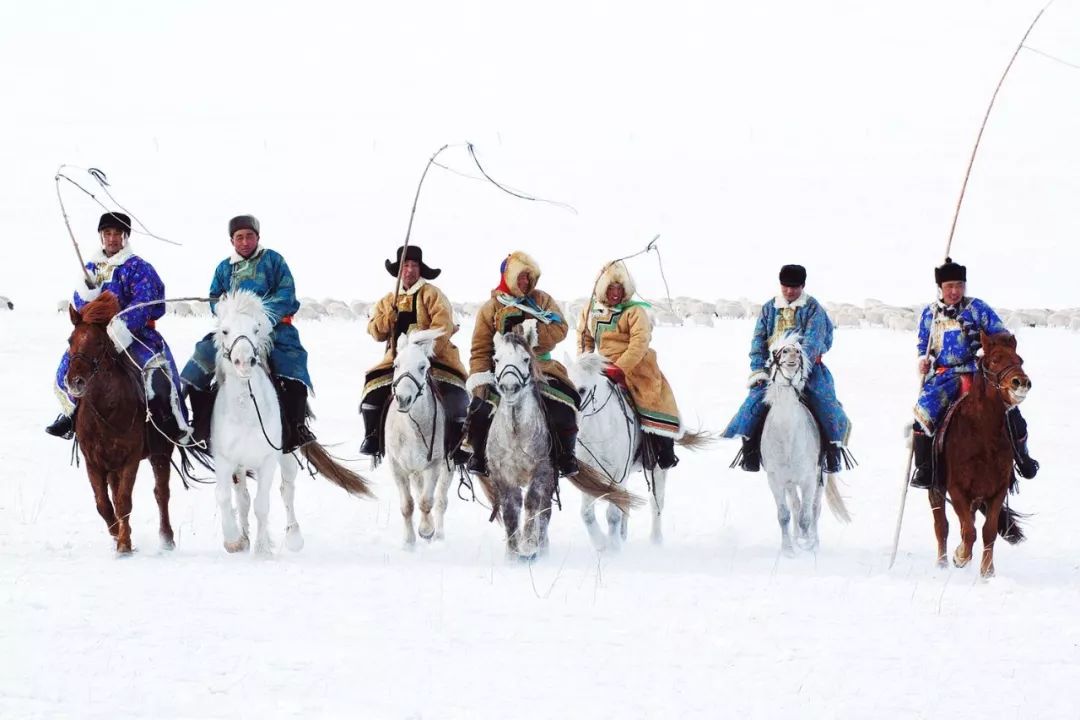 《雪中龍馬》《馬背雄鷹》《白龍神眼》《馬背醉漢》《黃驃馬》《冬季