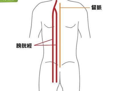 膀胱經是人體的排廢通道推背梳頭輕鬆暢通經絡