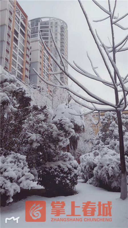 宣威下雪图片