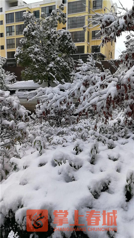 宣威下雪图片