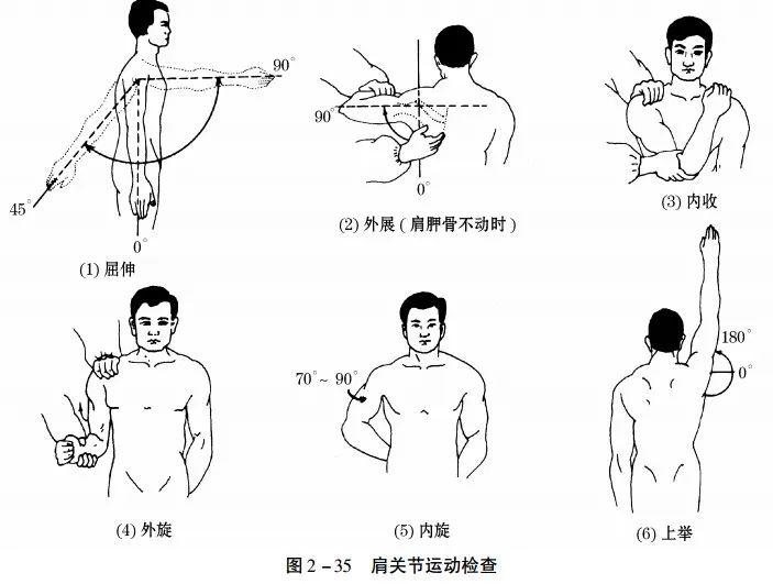 肩关节七种动作演示图图片
