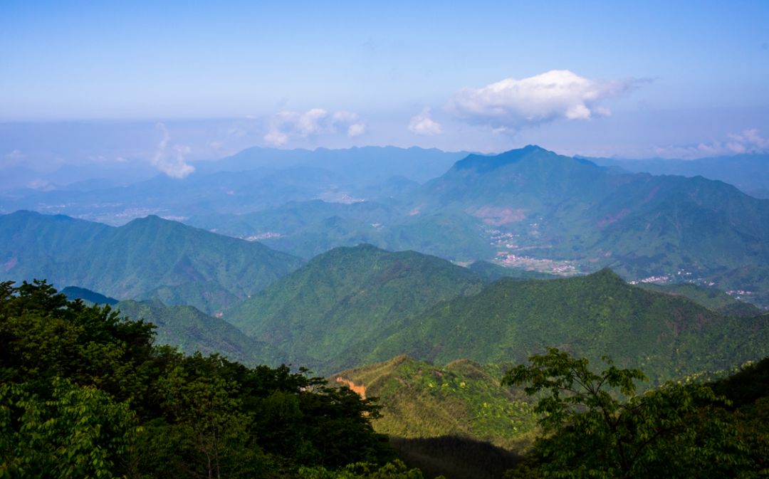 梅樹底風景區坐落在常山縣東案鄉梅樹底村境內,總面積8平方公里.