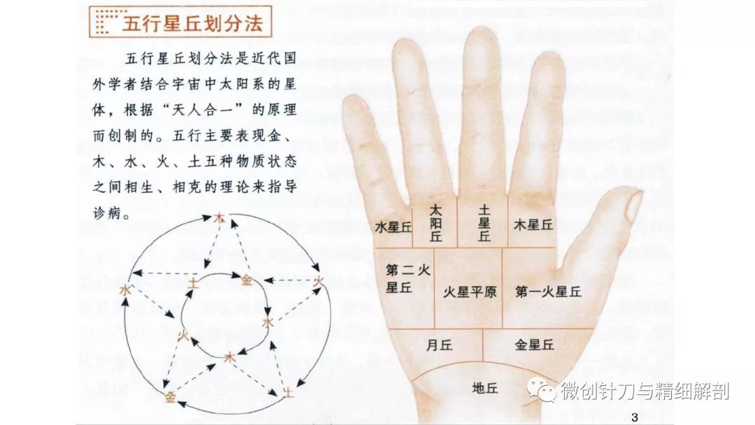 手九宫诊断图谱图片