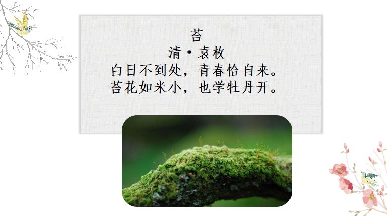 苔清袁枚古诗图片