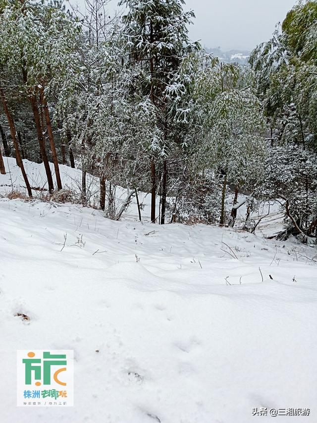 (双江村雪景 摄影/邹满红)鹅毛大雪,悠然而下;儿时场景,历历在目;游子