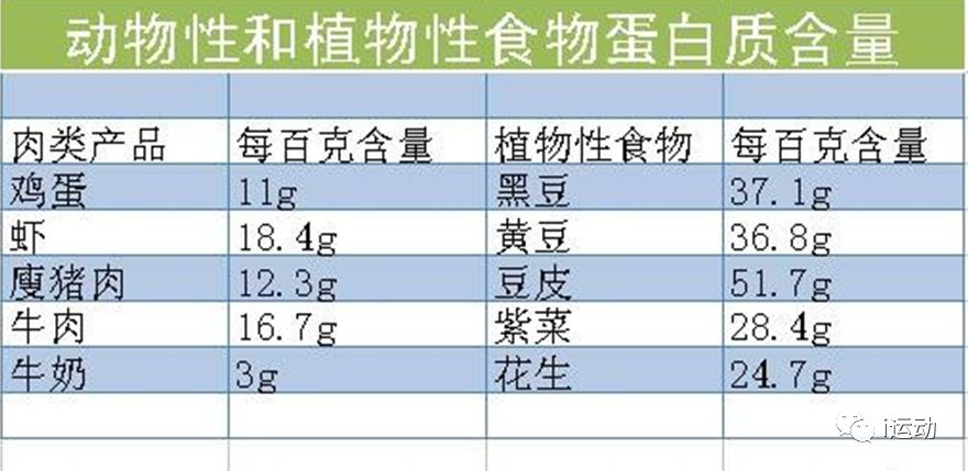 如何正確攝入蛋白質