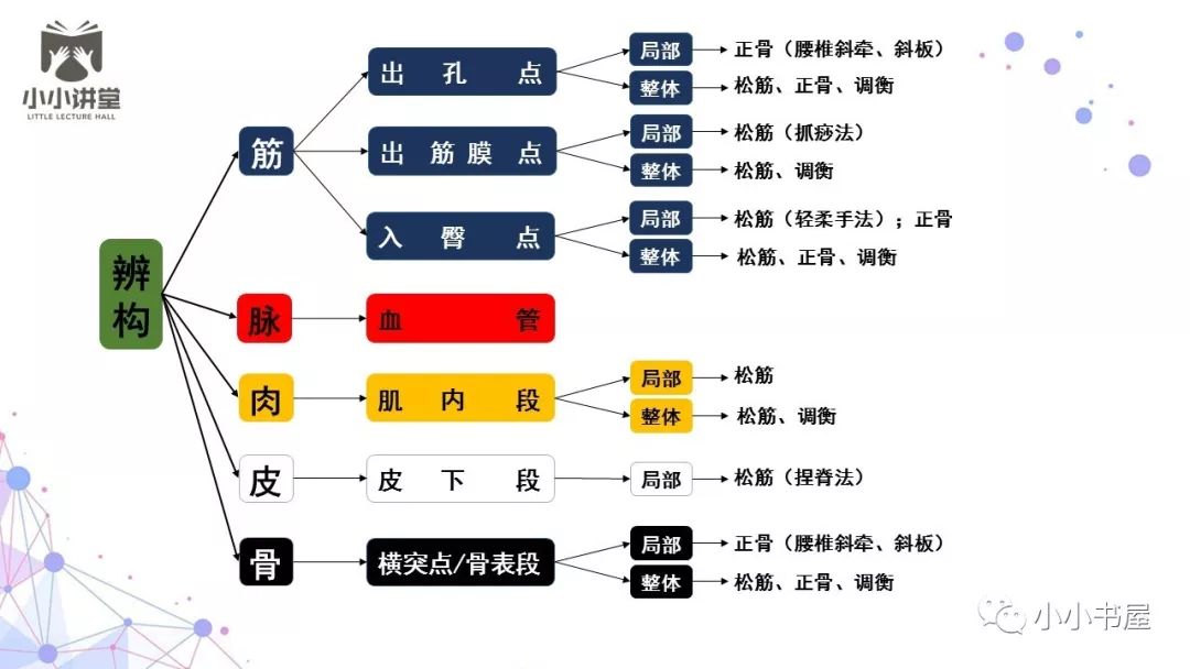 臀上皮神经图片