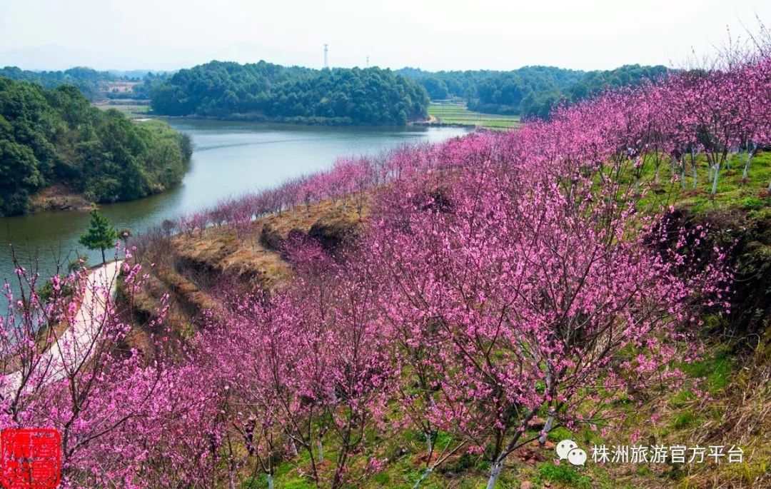 株洲縣市這些a級景區個個都是旅遊聖地在你家附近嗎