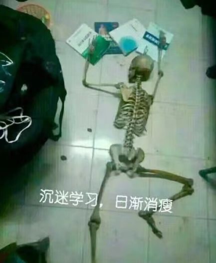 医学专业的复习题库打印出来 真的学医以后 考试月过的都是神仙生活