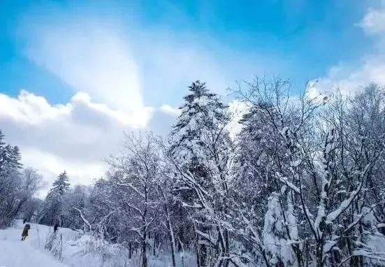 長白山雪嶺景區所在區域原名叫做老嶺,位於延邊仙峰國家森林公園內.