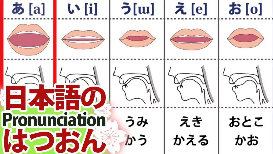 叮史上最享受日语五十音学习法请你签收