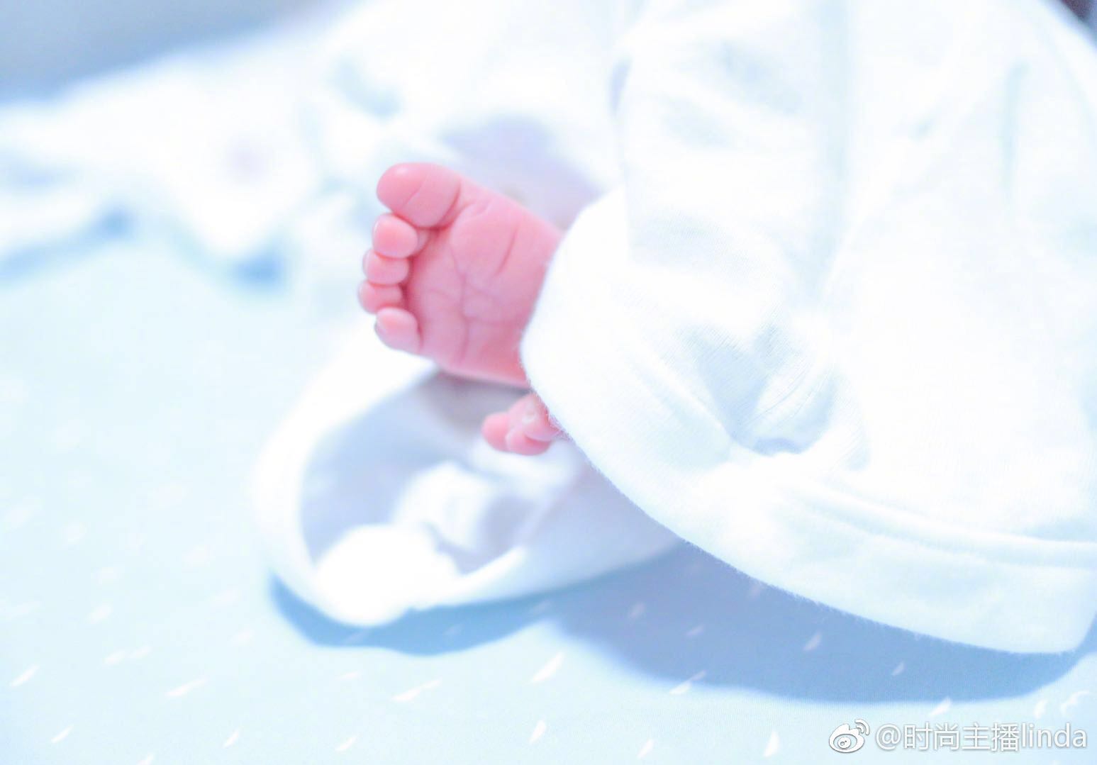 舒悦张宇峰的宝宝照片图片