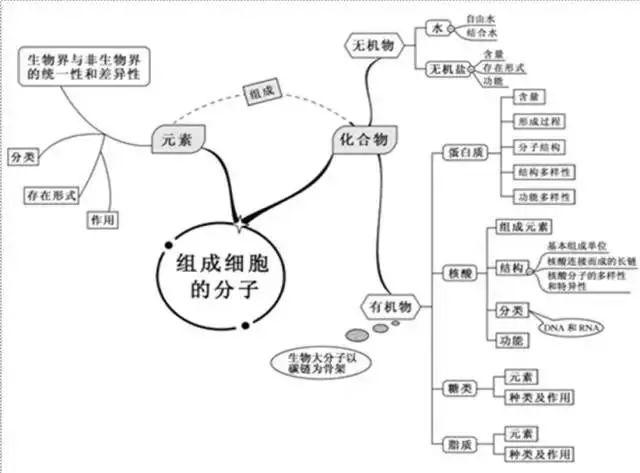 超全2019高考文綜理綜新思維導圖建議收藏