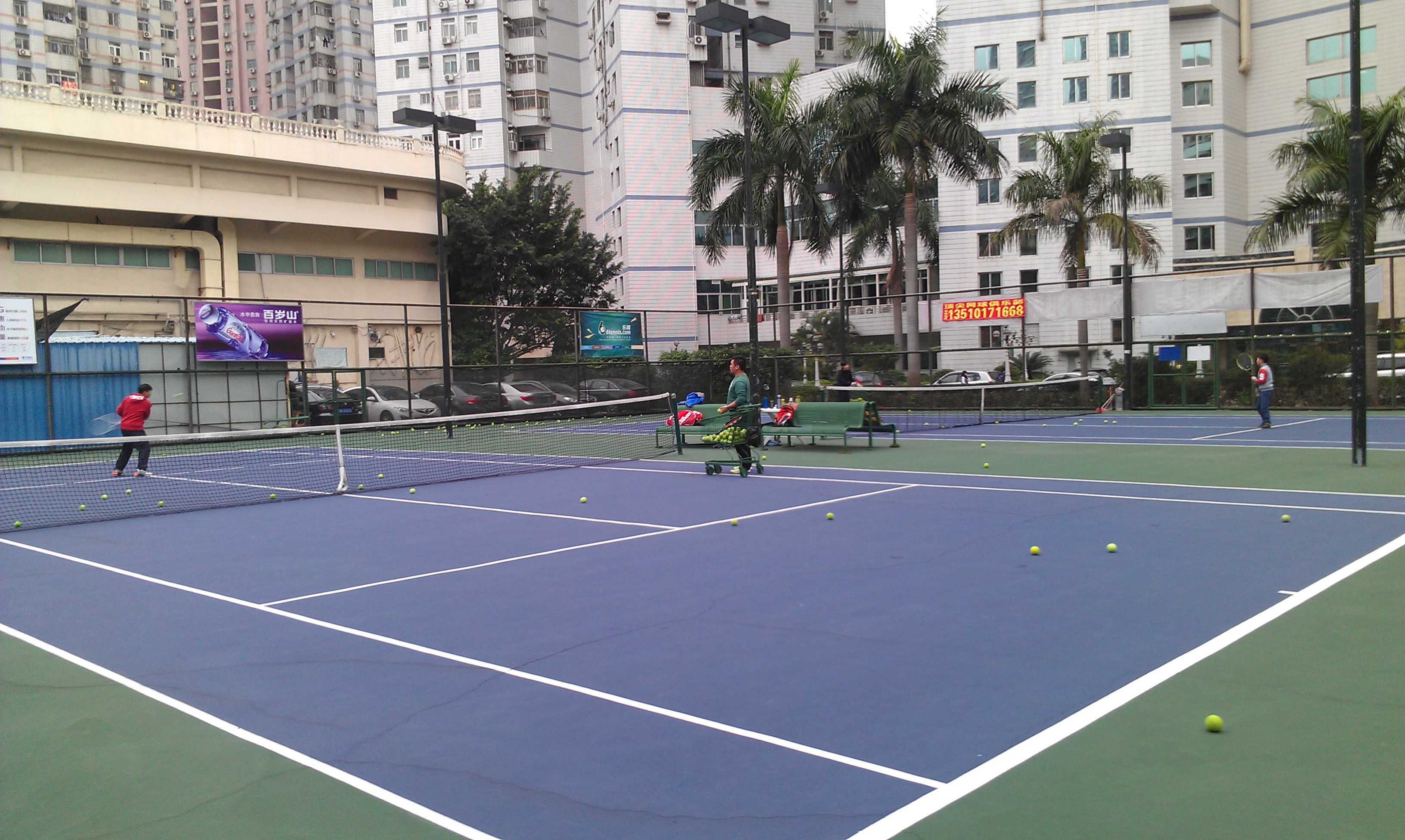 深圳网球培训 网球与朋友一起从零开始！