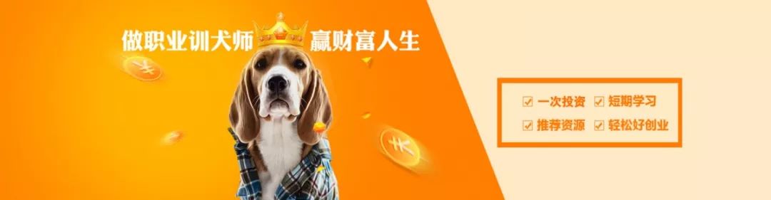 我自己也是通過訓犬服務幫助很多養犬人之後,逐步完善自己的創業計劃