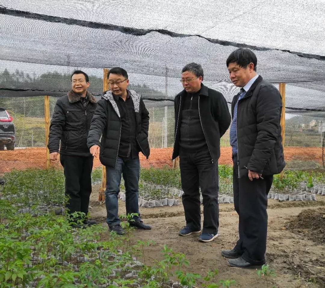 信豐縣高端網站建設_(信豐縣2021年7月份簽約項目)