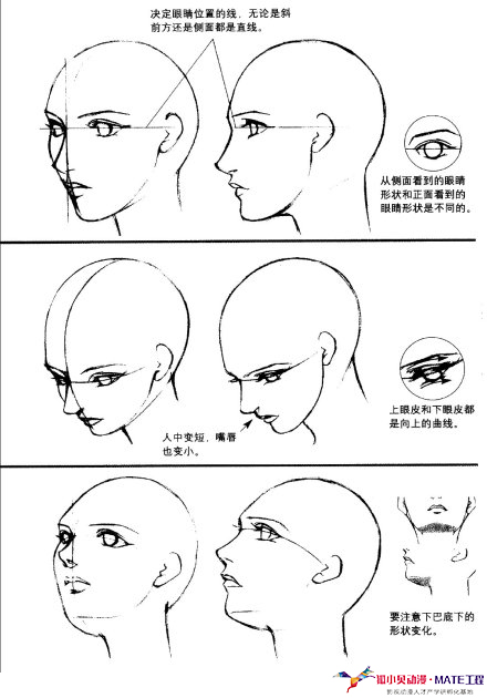 狐小貝動漫人物繪畫技巧講解動漫人物頭部五官特徵