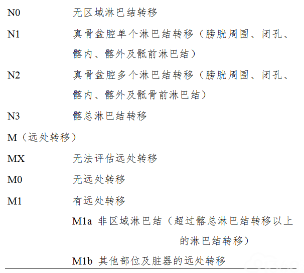 四,膀胱癌的组织病理学及分期