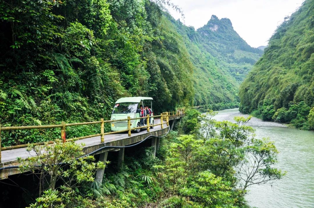 可乘坐觀光車到達青龍洞沿著棧道繼而往下阿哥阿妹情歌對唱,體味苗家