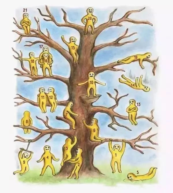 著名的画树心理测试图片
